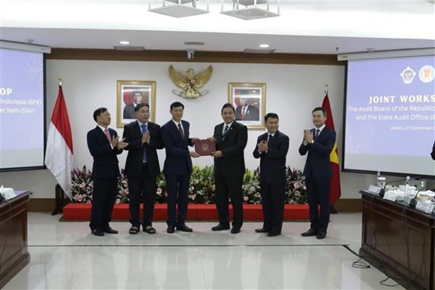 越南与印尼分享审计经验 hinh anh 1
