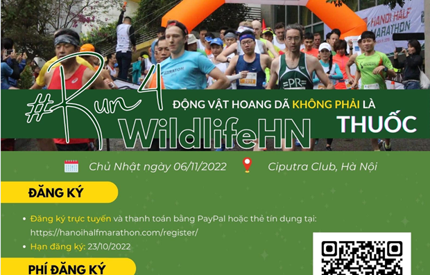 年度越南野生动物保护跑步比赛将于11月6日开赛 hinh anh 1