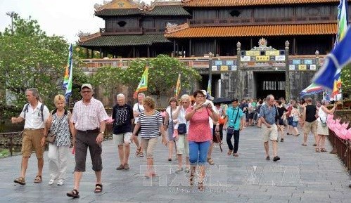 越南接待国际游客达187万人次 hinh anh 1