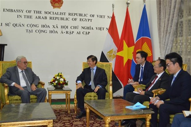 越南和埃及同意促进多方面合作 hinh anh 1