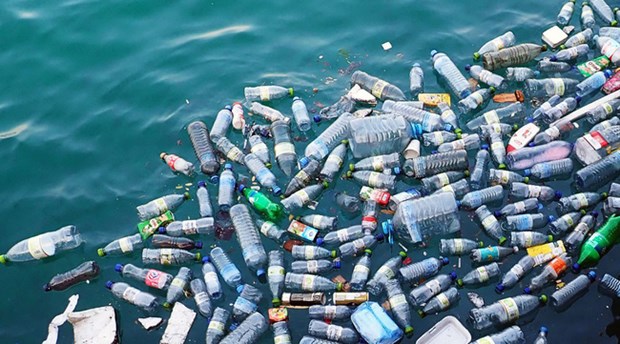 越南努力减少海洋塑料污染 hinh anh 1