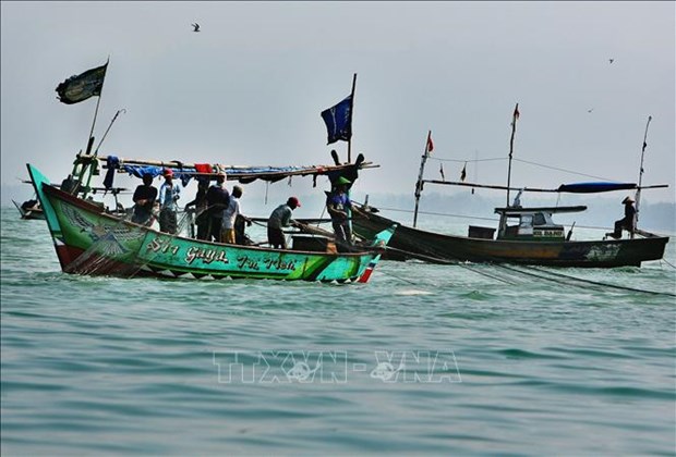 印尼与澳大利亚合作打击非法捕捞 hinh anh 1
