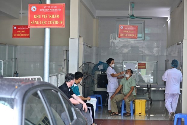 10月4日越南新增新冠肺炎确诊病例1020例 hinh anh 1