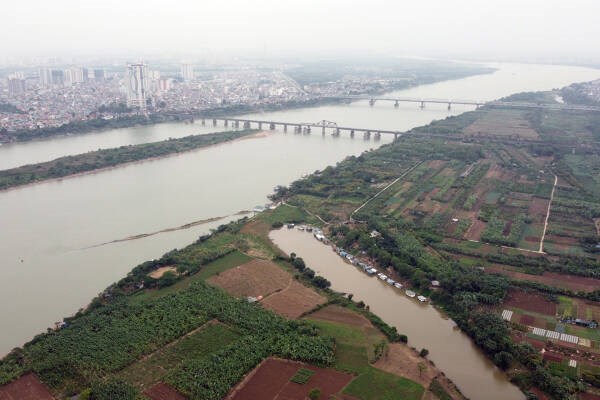 河内计划将红河泥滩规划成为旅游文化公园 hinh anh 1