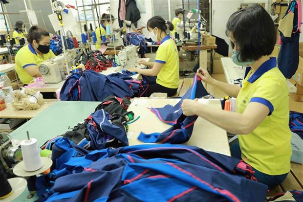 越南纺织服装业努力渡过困难实现可持续发展 hinh anh 2