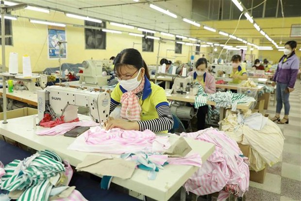 越南纺织服装业努力渡过困难实现可持续发展 hinh anh 1