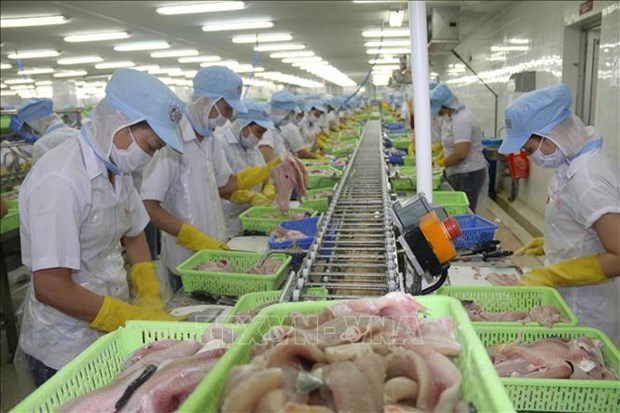 越南前江省预计全年商品出口增长近16% hinh anh 1