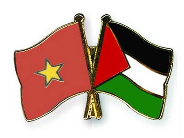 加强越南与巴勒斯坦人民的交流与互相了解 hinh anh 1