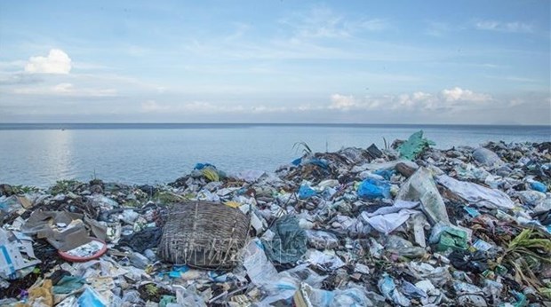 越南加强国际合作减少海洋废弃物排放 hinh anh 1