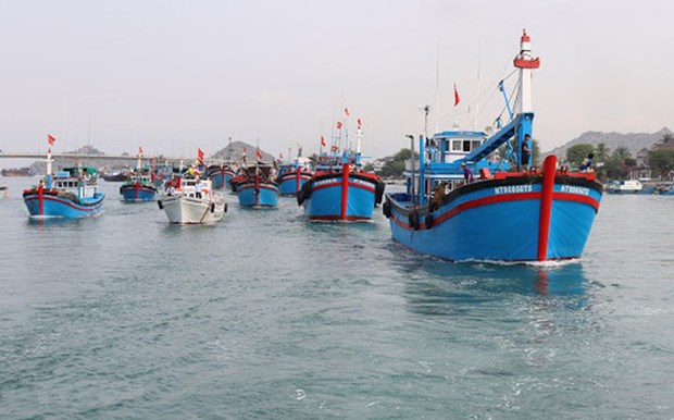 解除IUU黄牌警告：广义省对渔港基础设施建设进行同步投资 hinh anh 1