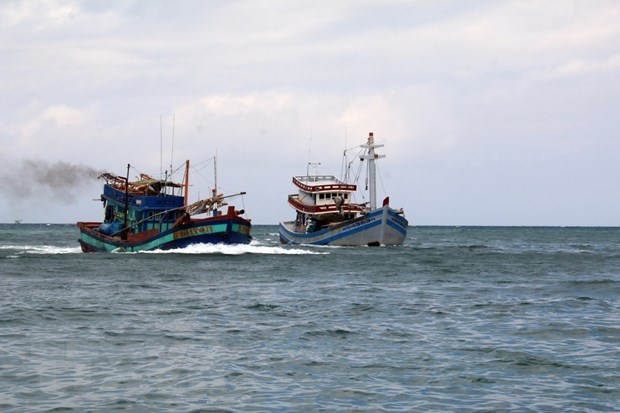 广平省：及时营救海上遇险渔船 hinh anh 1