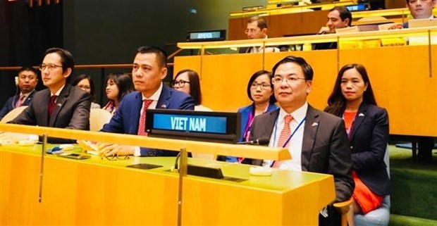 越南外交部长裴青山：与国际社会携手共建和平世界 hinh anh 2