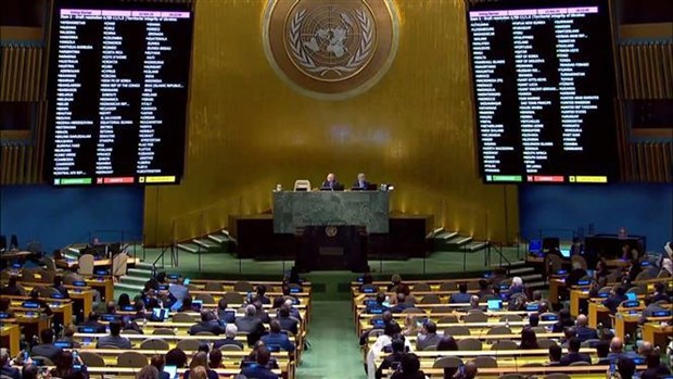 联合国大会通过了有关乌克兰局势的决议 越南呼吁结束冲突 hinh anh 1