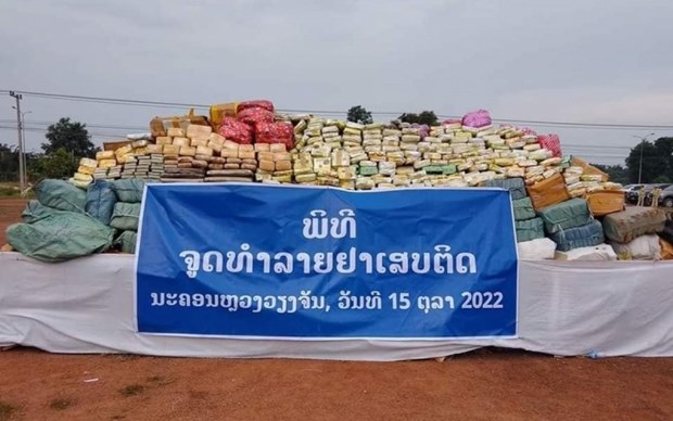 老挝销毁大量毒品 hinh anh 1