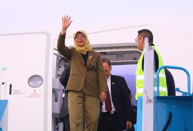新加坡总统哈莉玛·雅各布开始对越南进行国事访问 hinh anh 1