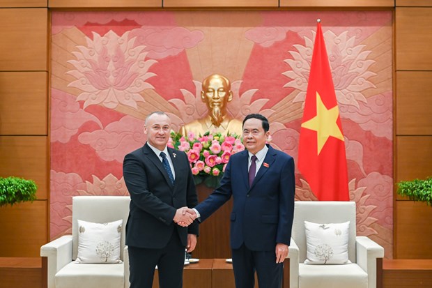 越南重视与罗马尼亚的友好合作关系 hinh anh 1