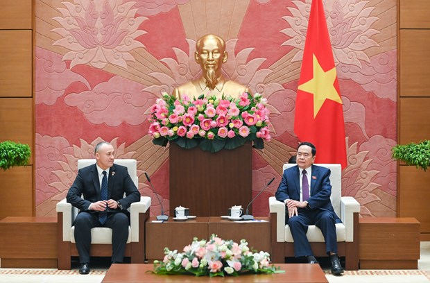 越南重视与罗马尼亚的友好合作关系 hinh anh 2