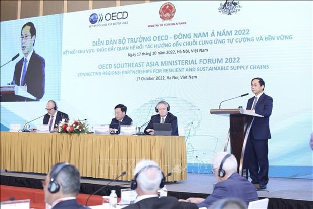 2022年OECD-东南亚部长论坛：构建韧性可持续供应链 hinh anh 3