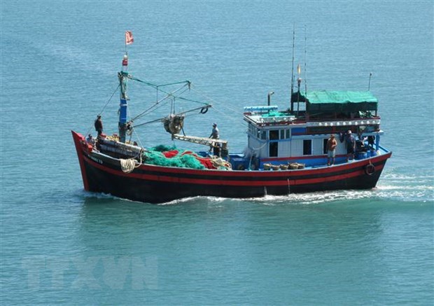 越南沿海省市重点管控和制止非法捕捞行为 hinh anh 1