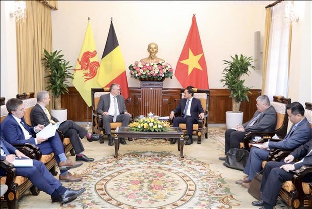 越南外交部长裴青山会见比利时瓦隆-布鲁塞尔大区首席大臣皮埃尔-伊夫•热奥莱 hinh anh 2