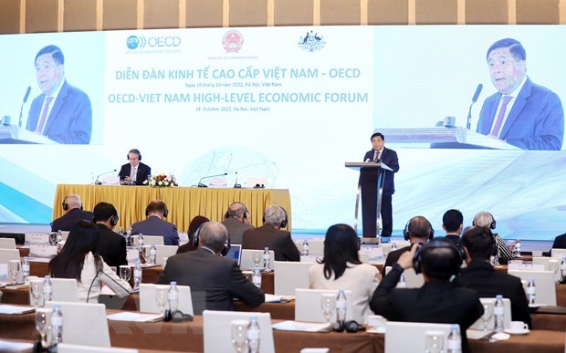 加强与越南的承诺是OECD的首要优先事项之一 hinh anh 2
