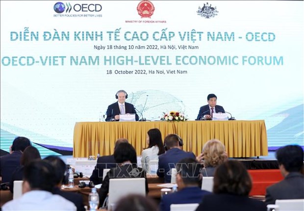 加强与越南的承诺是OECD的首要优先事项之一 hinh anh 1