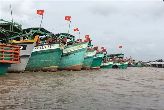 金瓯省实现渔船监测设备安装全覆盖 hinh anh 1