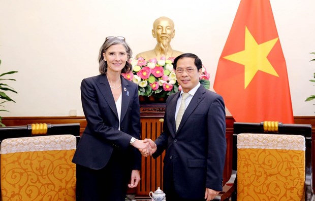 越南外交部长会见联合国开发计划署驻越南首席代表 hinh anh 1