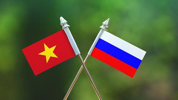 越南与俄罗斯学者就新形势下推动合作进行讨论 hinh anh 1