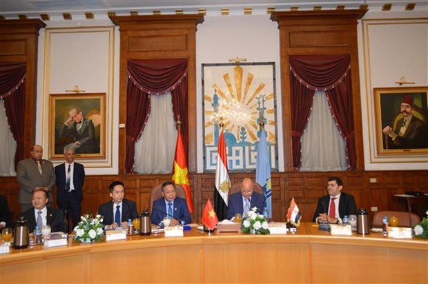 促进越南与埃及首都的全面合作关系 hinh anh 1