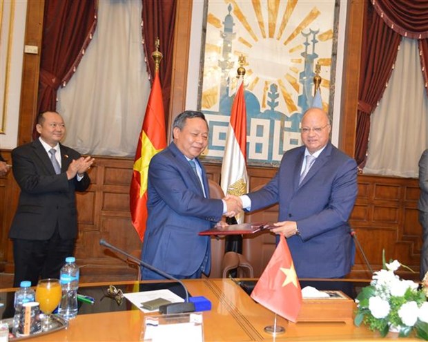 促进越南与埃及首都的全面合作关系 hinh anh 2