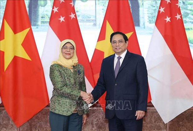 新加坡总统圆满结束对越南的国事访问 hinh anh 2