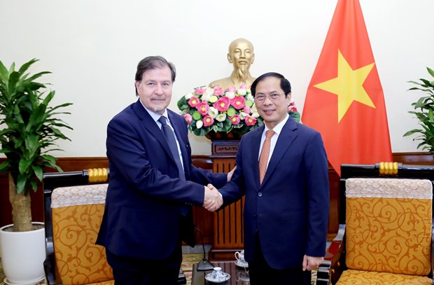 越南 – 智利外交部间第七次政治磋商会在越南举行 hinh anh 1