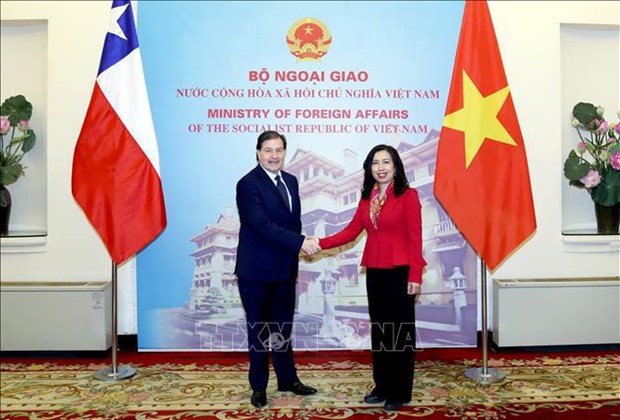 越南 – 智利外交部间第七次政治磋商会在越南举行 hinh anh 2
