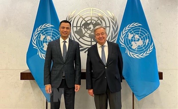 越南驻联合国大使：“联合国高度重视越南的作用、国际地位和贡献” hinh anh 1