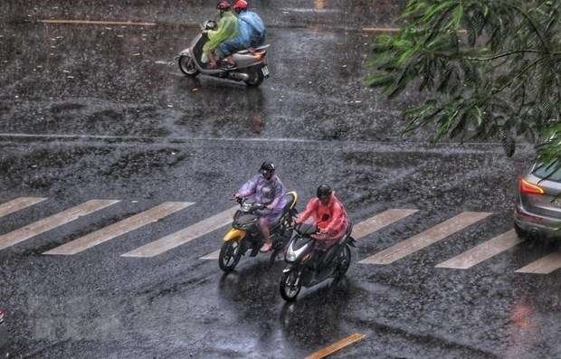 越南北部和首都河内有雨 天气转冷 hinh anh 2