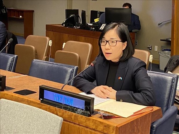 促进和保护人权：越南呼吁各国增加妇女在和平建设和谈判进程的参与度 hinh anh 1