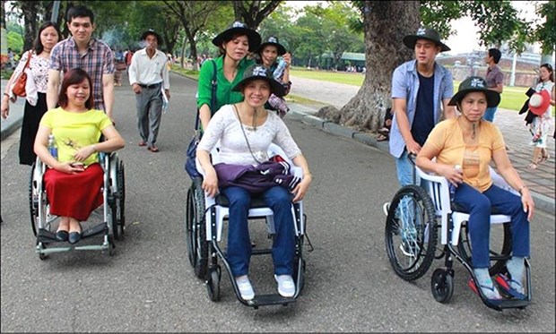 增强残疾人在民选机构中的参与 hinh anh 1