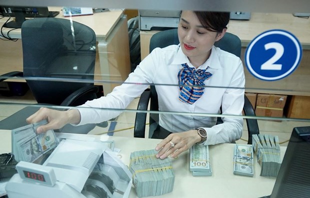 越南银行将美元卖出价上调490越盾 创有史以来新高 hinh anh 1