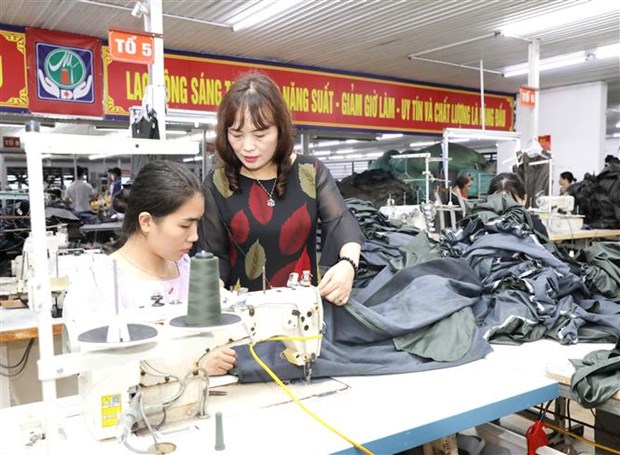 越南纺织品服装企业正面临来自全球通货膨胀造成的巨大压力 hinh anh 1