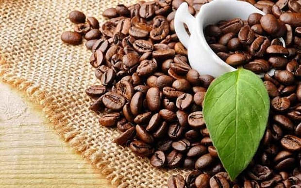 越南咖啡出口额可突破40亿美元大关 hinh anh 1