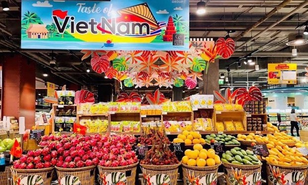 经济外交：海外越南人企业与企业外交在越泰贸易中的作用 hinh anh 2
