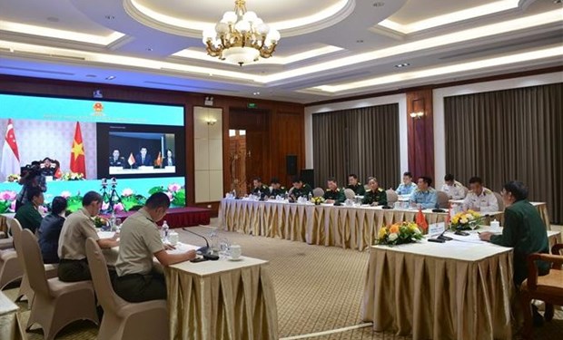 越南-新加坡联合工作组第十次会议以线上形式举行 hinh anh 1