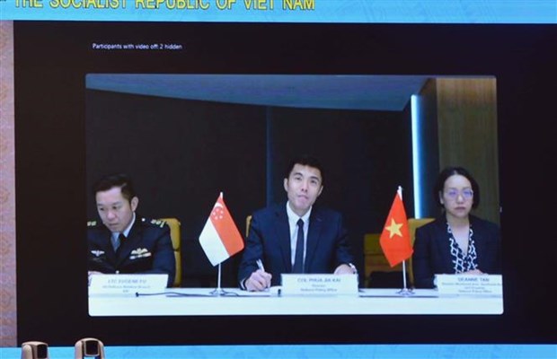 越南-新加坡联合工作组第十次会议以线上形式举行 hinh anh 2