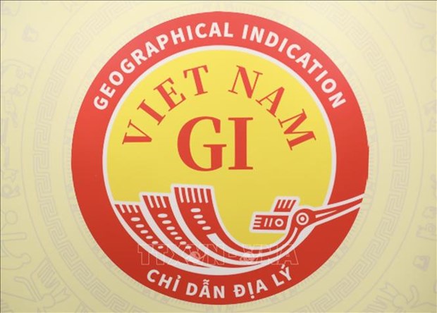 越南地理标志专用标志正式发布 hinh anh 1