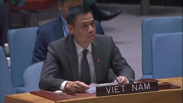 越南在联合国安理会上再次重申关于巴勒斯坦问题的一贯立场 hinh anh 1