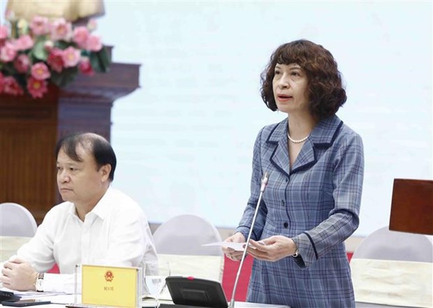 越南政府10月份例行记者会：保障药品市场供应充足 hinh anh 2