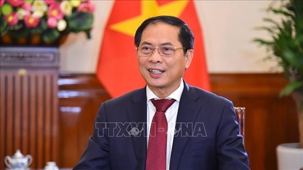 越南外交部长裴青山：为越中全面战略合作伙伴关系增添新动力 hinh anh 1