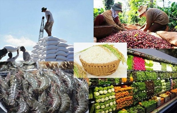 越南农林水产品出口增长超14% hinh anh 1