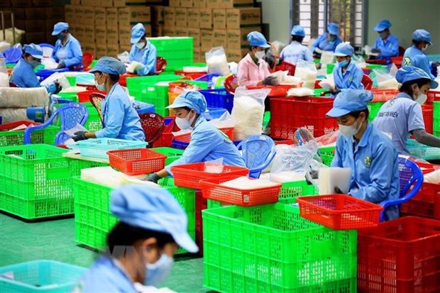 东盟与中日韩分享疫后劳动力市场恢复经验 hinh anh 1